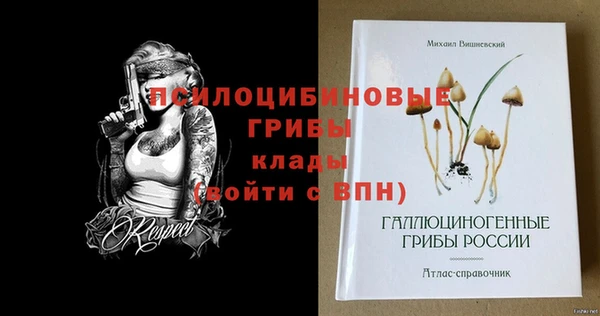 гашик Балабаново